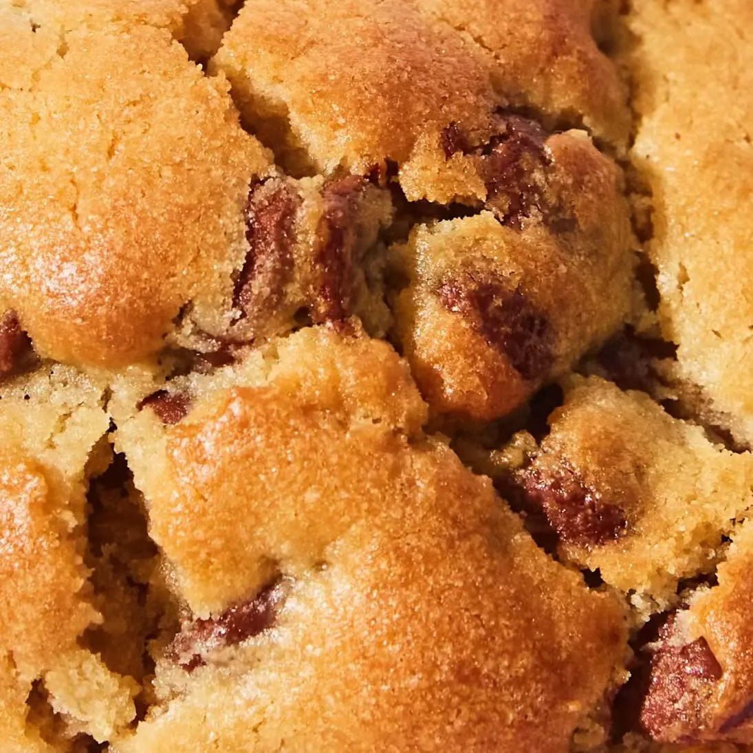 Classic Choc Chip