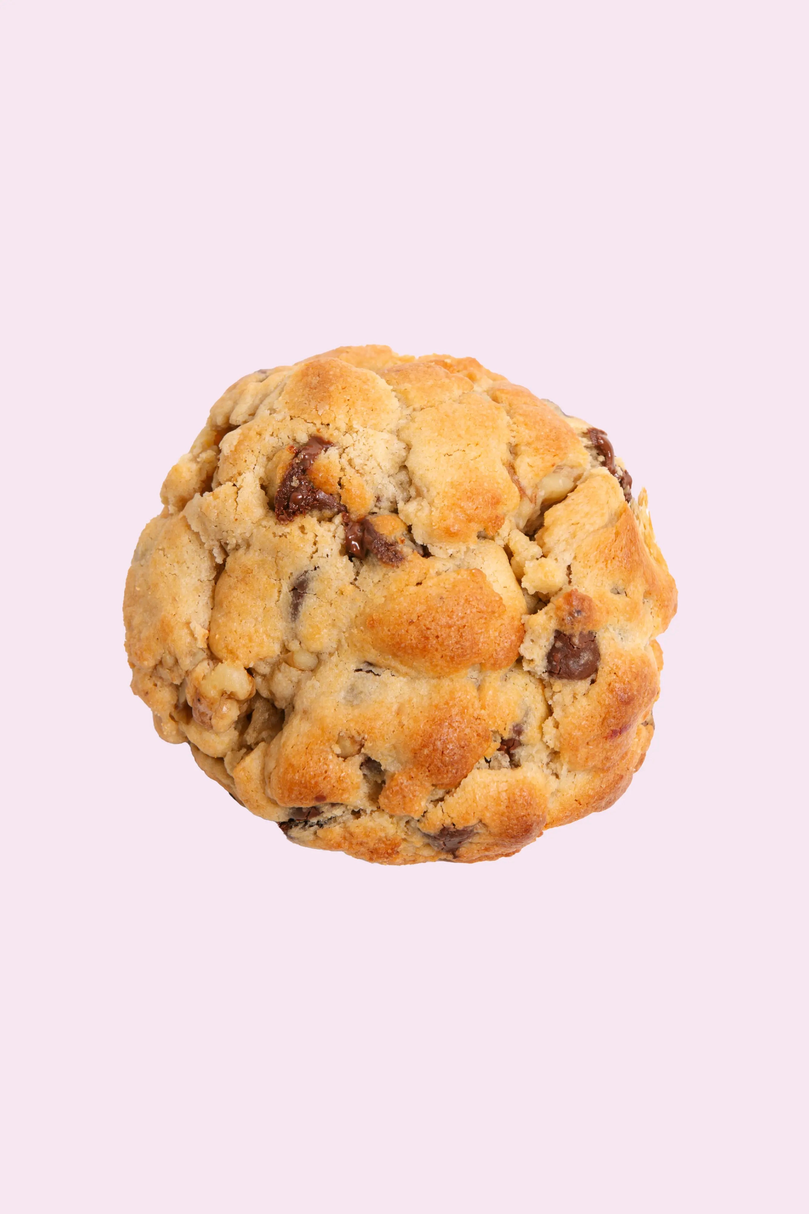 Chocolate Chip Cookie Box Brooki Bakehouse